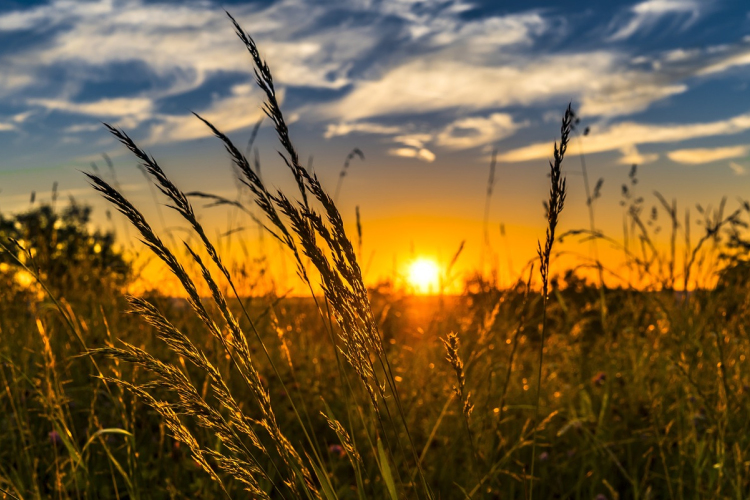 Új kifejezések bevezetésével hatékonyabbá válhat az éghajlatváltozásról szóló diskurzus egy új tanulmány szerint