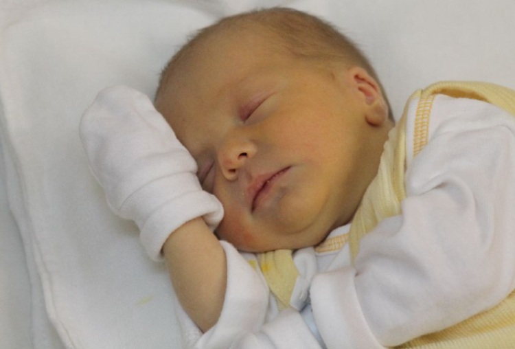 Szeles Anna Dorottya 