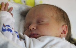 Aradi Diána Karolina 