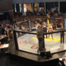 2015.05.09. Profi MMA Gála fotók:árpika