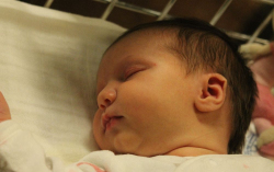 Nádler Csenge Renáta 