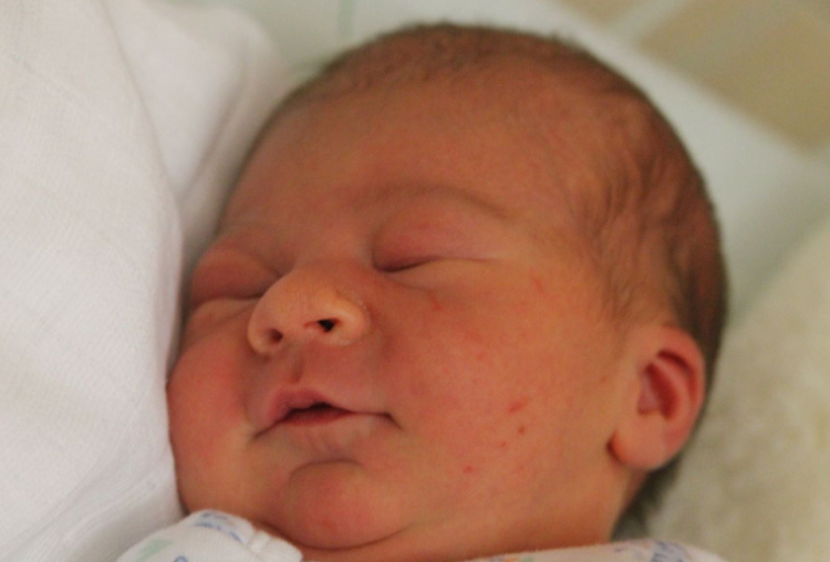 Pogrányi Máté Gábor 