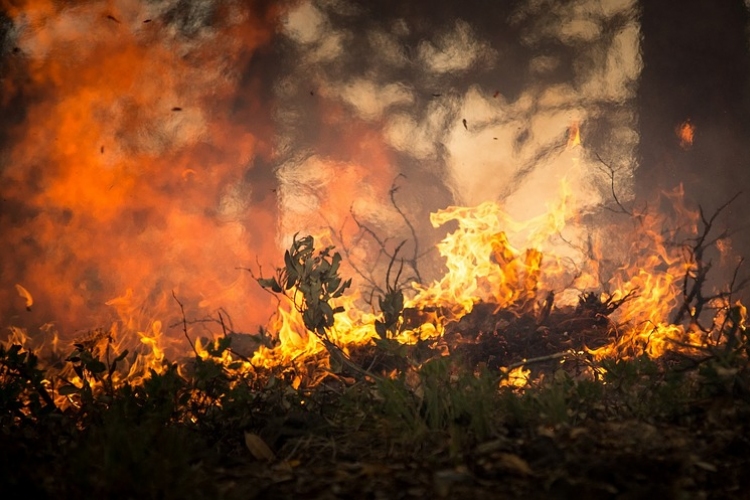 Több mint 600 tűzoltó sem bírt a lángokkal az amerikai Montana államban 