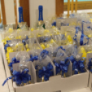 2020.01.18 VI.Varga András női kézilabda emléktorna Öttevény Fotók:árpika 