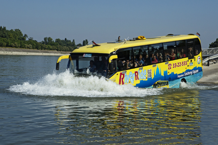 Kerek évfordulóját ünnepli a kétéltű