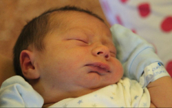 Kovács-Forisek István Nimród 