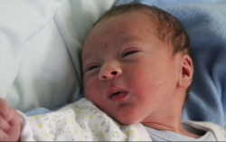 Deli Tibor Krisztián 