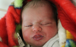 Sáhó Patricia Vanda