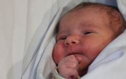 Bartal Boglárka Anna 