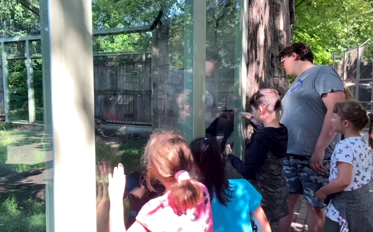 Rohamosan fogynak a helyek a táborokba