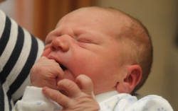 Vida Nándor Zoltán 