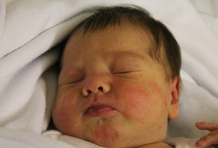 Hornyák Viktória Dóra