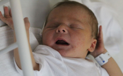 Zöldi Bertalan András 