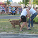 2013.06.23.Vasárnap SzFeszt 4.nap Fotók.árpika