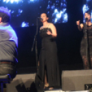 2017.10.28. Charlie 70. Születésnapi koncert Fotók:árpika 