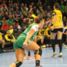 2017.11.06. Győri Audi Eto KC-Rostov Don női kézilabda Bajnokok Ligája Fotók:árpika .