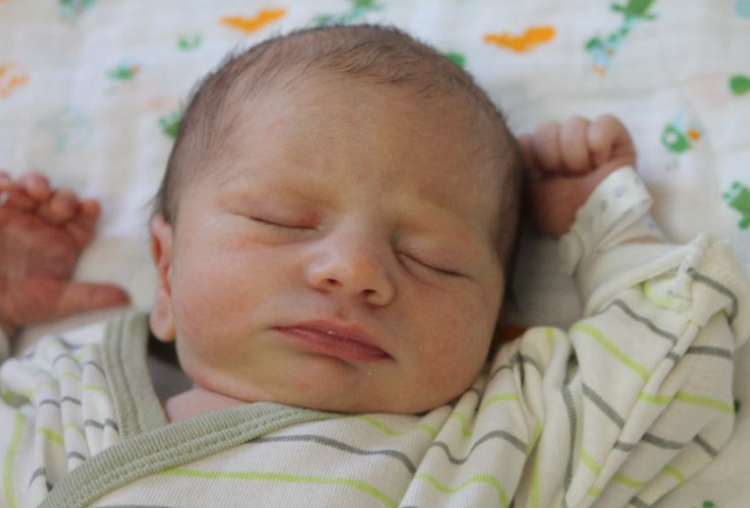 Fischer-Pósch Márk