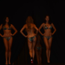 2013.08.24 Szigetköz Szépe 2013.Fotók:adrián