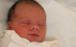 Galambos Péter Károly 