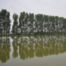 IV. Győri Szuperinfó Családi Piknik és Amatőr Horgászverseny Fotó: Novák Attila