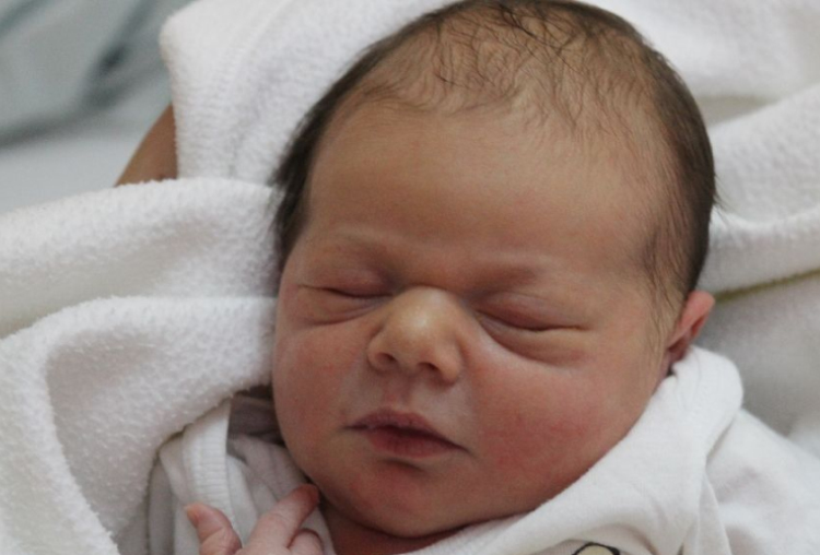 Hegedűs Bite Regina 