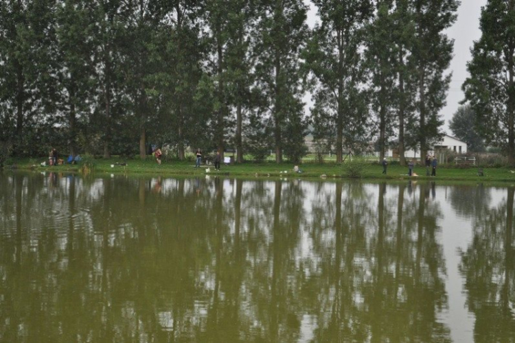 IV. Győri Szuperinfó Családi Piknik és Amatőr Horgászverseny Fotó: Novák Attila