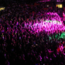 2019.11.23.Follow The Flow Aréna show Fotók:árpika