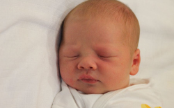 Győrfi Noel Zoltán 