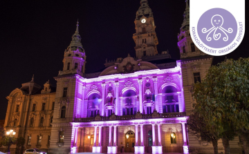 Győr idén is csatlakozik a Koraszülöttek Világnapjához