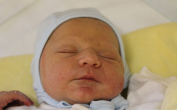 Pándi Gergely György 