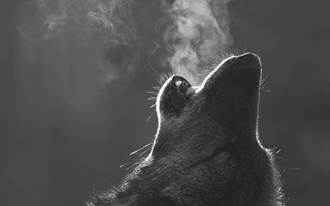 A jövő héten már mínusz 5 fokig is lehűlhet a levegő