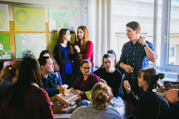 Madárkalács az Apáczai-karon 