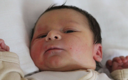 Mészáros Barnabás 