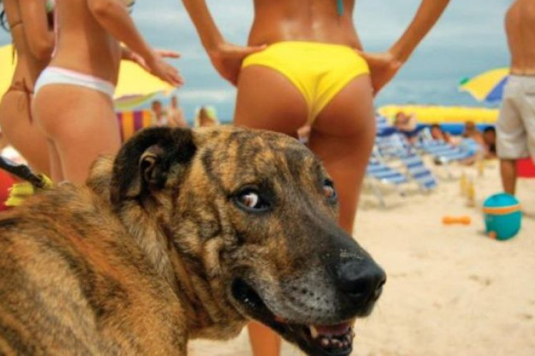 Közeleg a bikiniszezon, ezt látnod kell! 