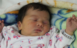 Bogdán Barbara Zsuzsanna 