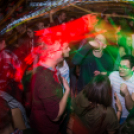 Lapos_Bulifotók_2016.11.30.