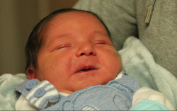 Fehér Patrik Péter 