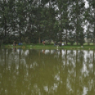 IV. Győri Szuperinfó Családi Piknik és Amatőr Horgászverseny Fotó: Novák Attila