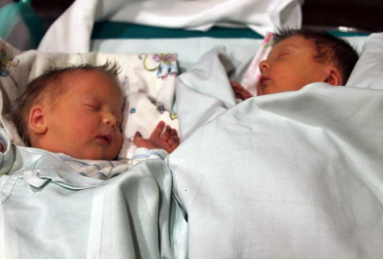 Merkel Szabolcs és Merkel Hunor 