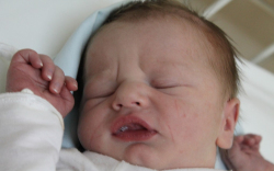 Gergely Bertalan László