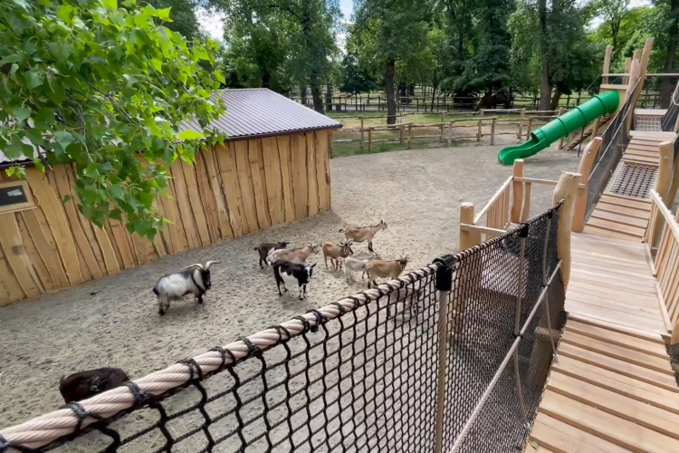 Kalandösvényen az állatsimogatóba