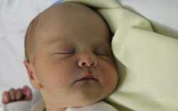 Horváth József Árpád