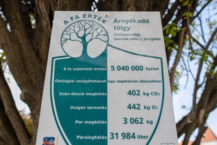 Két fa saját faértéktáblát kapott