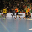 2017.11.06. Győri Audi Eto KC-Rostov Don női kézilabda Bajnokok Ligája Fotók:árpika .