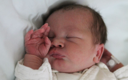 Kiss Nikolasz Kristóf