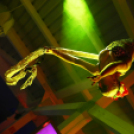 Club Mundo -  Julia Carpenter 2013.05.11. (szombat) (1) (Fotók:Vertigo)