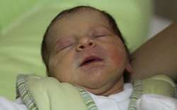 Németh-György Lili