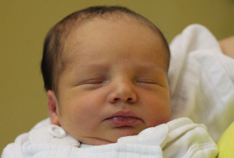 Kovács Dániel Zoltán 