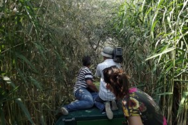 2016-ban is keresik Magyarország Ifjú Kócsagőrét