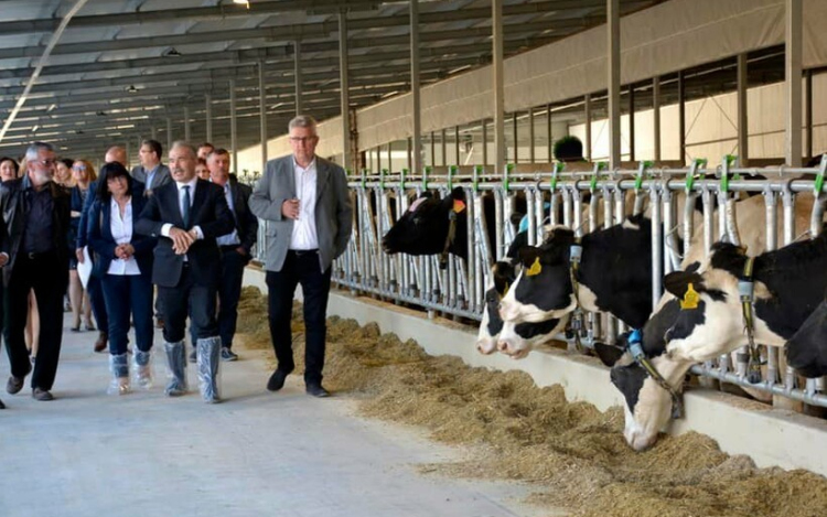 Biogázüzem épülhet a Szigetközben